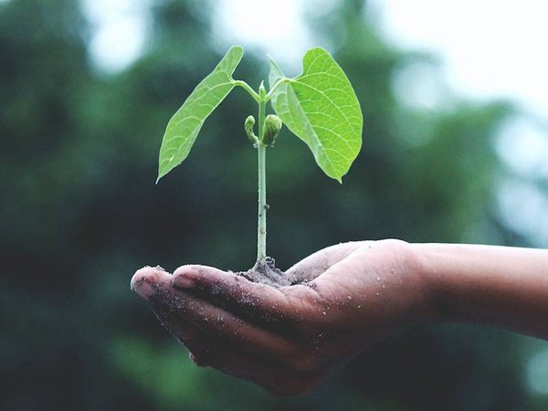 5 règles pour mieux respecter l'environnement