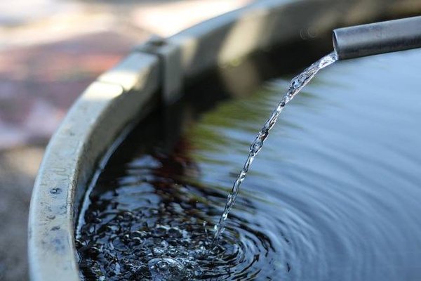 Comment utiliser l'eau de pluie ou les eaux grises pour arroser les plantes dans une serre de jardin tunnel écologique ?