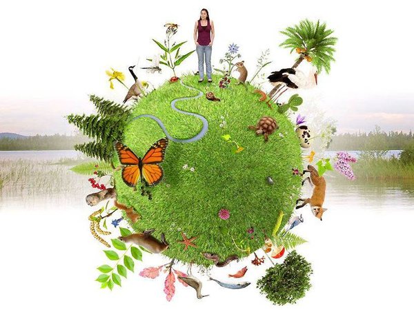Pourquoi la biodiversité est-elle en danger ?