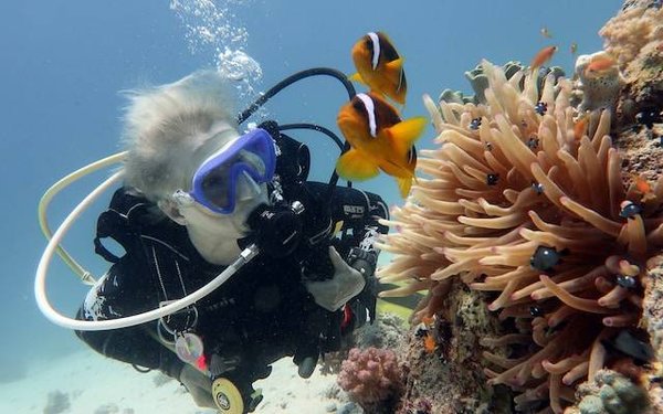 Plongée Var : une immersion dans le trésor méditerranéen