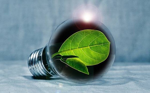 5 étapes simples pour protéger l'environnement au quotidien