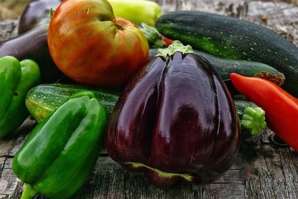 Comment Adopter une Alimentation Plus Respectueuse de l'Environnement ?