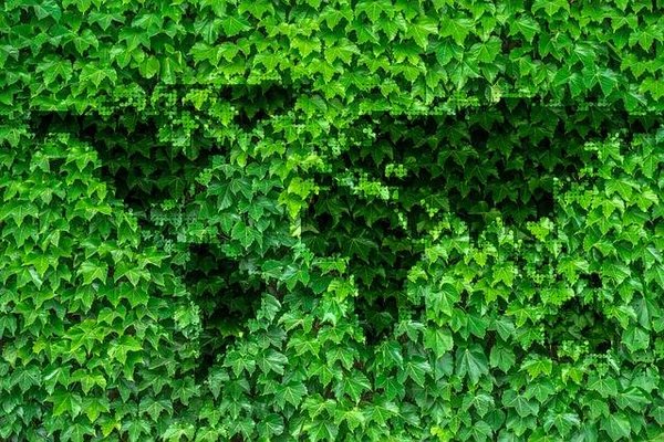 Quelle est la politique environnementale de la France et de l'Union européenne ?