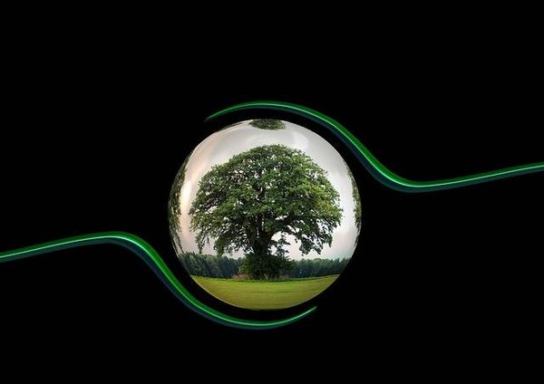 Quels sont les principaux accords internationaux sur le climat et l'environnement ?