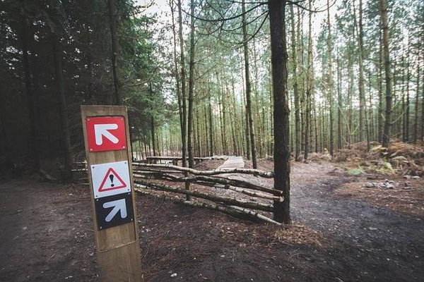Comment protéger et restaurer les forêts ?