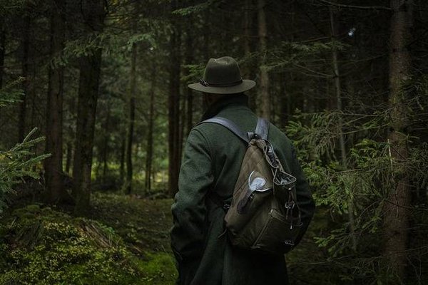 Quelles sont les activités écologiques à faire en forêt ?