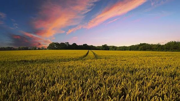 Quelle est la situation de l'agriculture dans le monde et en France ?