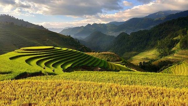 Quels sont les impacts de l'agriculture sur l'environnement et la biodiversité ?