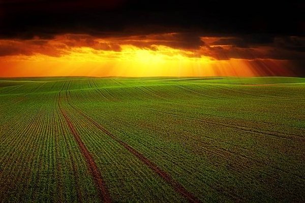 Comment pratiquer une agriculture plus durable et respectueuse de l'environnement ?