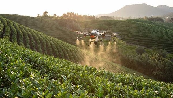 Innovations technologiques dans l'agriculture : Les bilans et perspectives